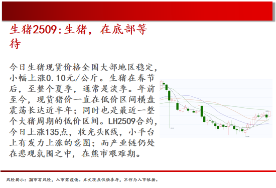 中天期货:白银继续回落 棕榈上涨减速 第4张 中天期货:白银继续回落 棕榈上涨减速 第4张