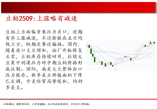 中天期货:白银继续回落 棕榈上涨减速 第9张 中天期货:白银继续回落 棕榈上涨减速 第9张