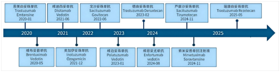 国产ADC崛起!创新药短期波动不改长期价值! 第2张 国产ADC崛起!创新药短期波动不改长期价值! 第2张