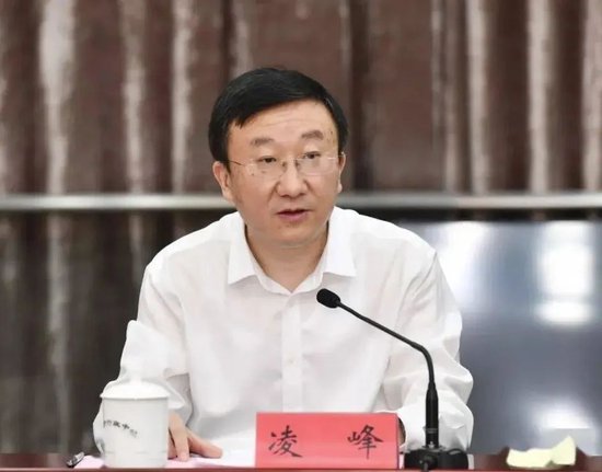 国家审计署披露：江苏证监局原局长凌峰数亿元贪腐案情  第2张