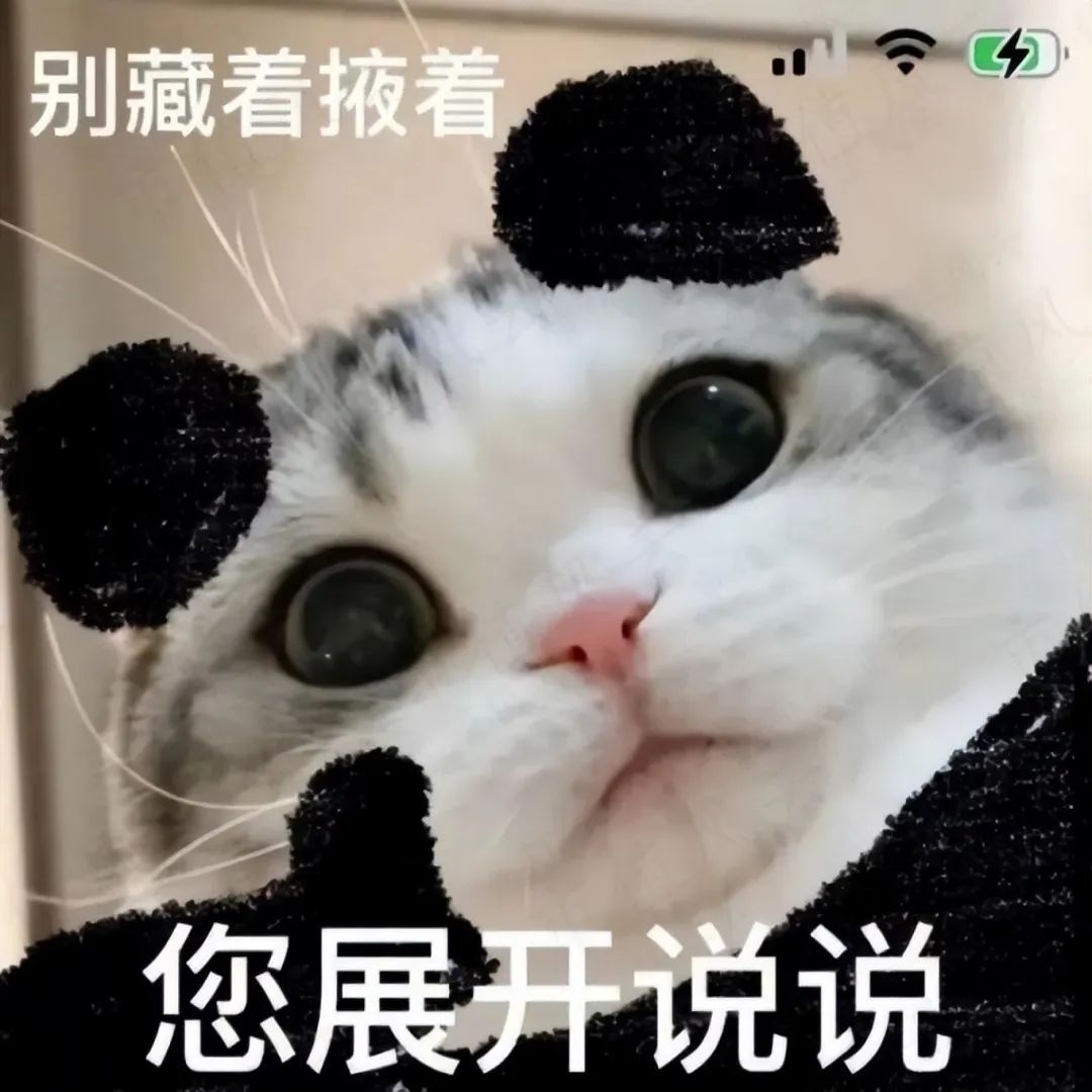 重磅!强烈质疑至纯科技财务造假:27亿现金失血,57亿负债高悬,八年10倍“虚假繁荣”齐上演 第31张 重磅!强烈质疑至纯科技财务造假:27亿现金失血,57亿负债高悬,八年10倍“虚假繁荣”齐上演 第31张