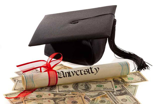 如何成立特定投资机构并遵循相关规则？成立QDII的步骤和要求是什么？  第1张