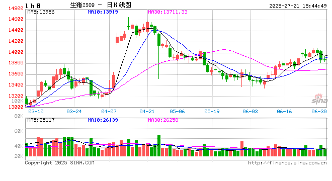 光大期货生猪半年报：供应压力持续 预计下半年猪价弱稳运行  第2张