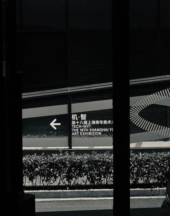 朋友圈正成为“艺术第一现场”,上海青年美展公众投票人次破18万的背后…… 第11张 朋友圈正成为“艺术第一现场”,上海青年美展公众投票人次破18万的背后…… 第11张