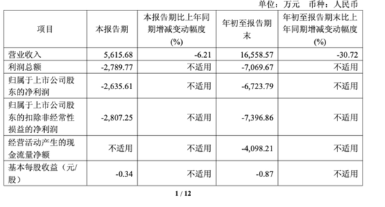 重大资产重组！688051，明起停牌  第2张