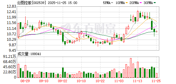 云图控股：应城基地70万吨合成氨及其配套项目推进顺利  第1张