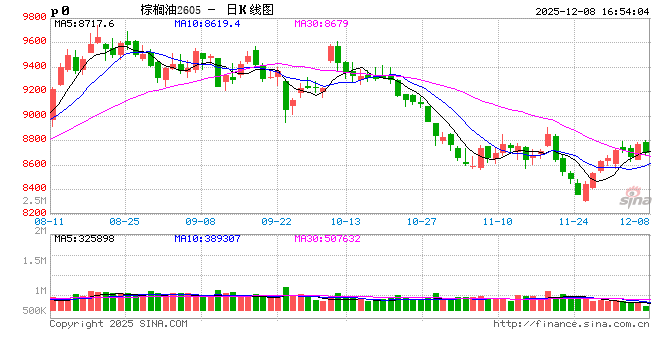 棕榈油:外强内弱格局延续,12月首周价格冲高 第2张 棕榈油:外强内弱格局延续,12月首周价格冲高 第2张
