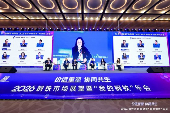 圆桌对话：钢铁工业“十五五”需求分析  第2张