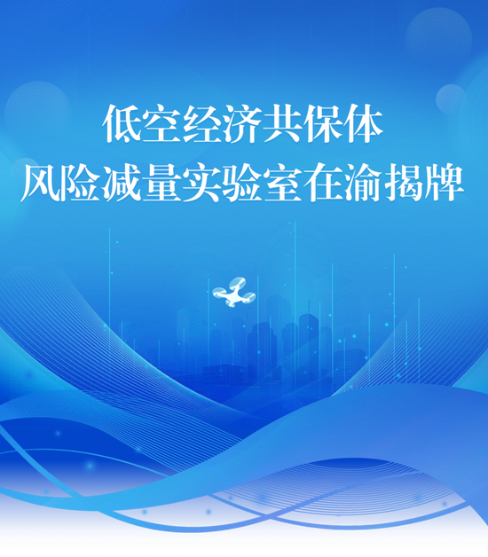 低空经济共保体风险减量实验室在渝揭牌  第1张