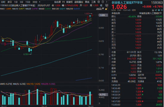 见证历史，沪指14连阳逼空！创新药逆市领涨港股，520880大涨超3%！人工智能还看创业板，159363再创新高  第5张