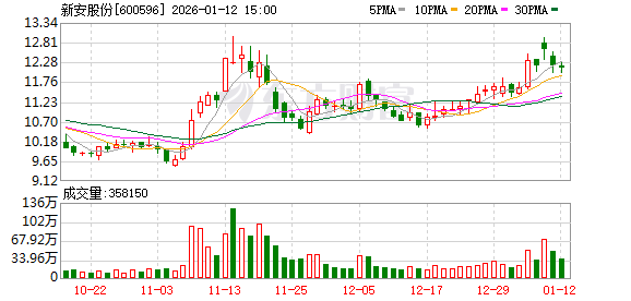 新安股份：公司截至目前无逾期担保情况发生  第1张
