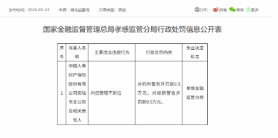 中国人寿财险安陆市支公司被罚0.5万元：内控管理不到位  第1张