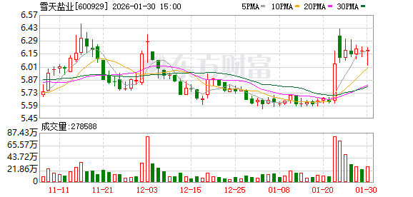 雪天盐业:预计2025年归母净利润为4960万元至7440万元 第1张 雪天盐业:预计2025年归母净利润为4960万元至7440万元 第1张