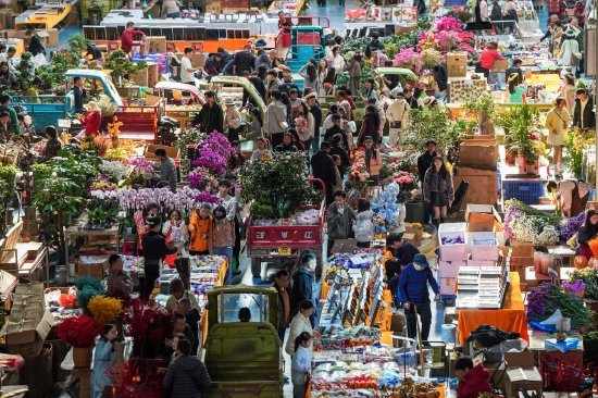 平稳开局!开年首月社会融资规模增量达7.22万亿元 第2张 平稳开局!开年首月社会融资规模增量达7.22万亿元 第2张