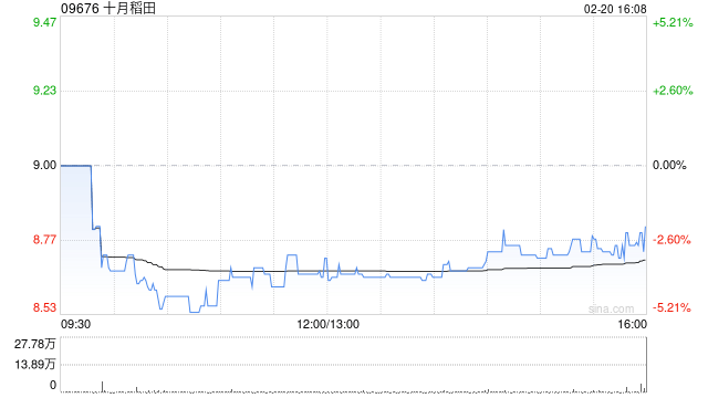 十月稻田于2月20日斥资316.62万港元回购36万股  第1张