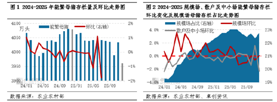 从产能过剩到结构优化:能繁母猪存栏量下降如何重塑生猪产业链? 第3张 从产能过剩到结构优化:能繁母猪存栏量下降如何重塑生猪产业链? 第3张