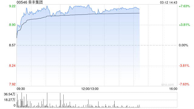 阜丰集团午后涨超6% 集团近期宣布上调味精产品价格  第1张