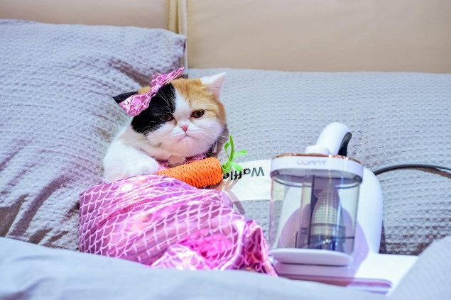 当清洁电器集体“长手长脚”,友望为何选择“让用户不受罪”? 第6张 当清洁电器集体“长手长脚”,友望为何选择“让用户不受罪”? 第6张