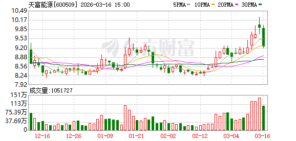 天富能源：截至2026年2月末，天富集团为公司担保金额为60.95亿元  第1张