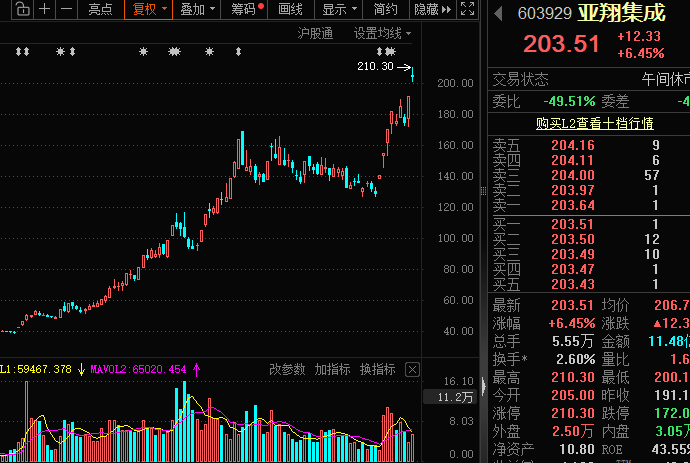 亚翔集成暴涨超18倍！10倍股回调榜出炉，*ST双成跌80%、惠城环保、艾融软件跌60%，机构扎堆关注这些优质股  第1张