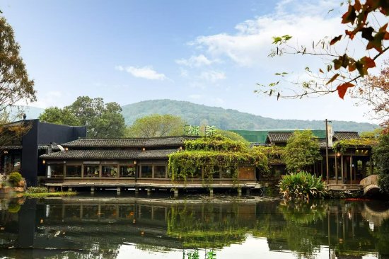 绿茶集团2025年业绩双高增领跑市场 供应链深耕、运营提效与持续研发创新共筑宽阔护城河  第1张