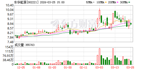 东华能源：董事会审议通过《关于子公司东华能源（宁波）新材料有限公司拟开展融资租赁业务的议案》等  第1张